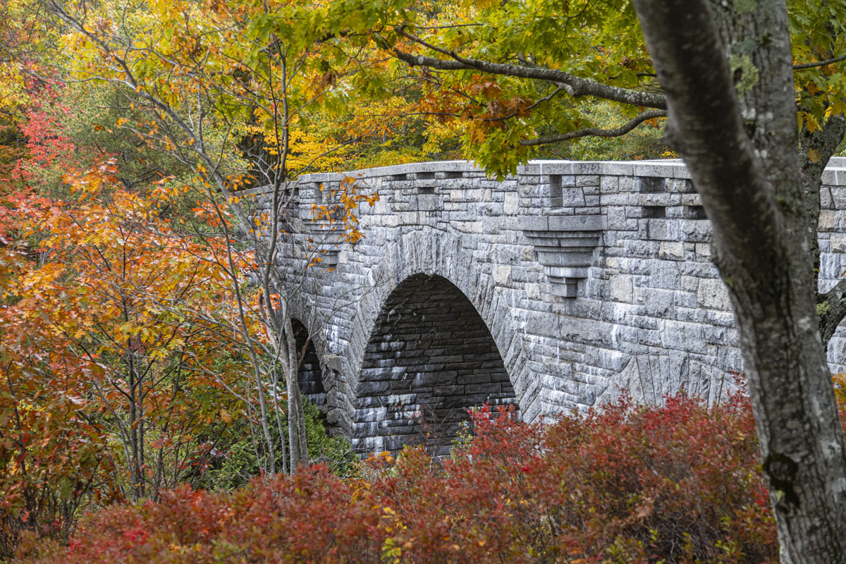The Duck Brook Bridge, a three arch bridge built in 1929, spans a deep ravine with Duck Brook at the bottom. There are 15 other bridges on the carriage roads. [F30R2255]