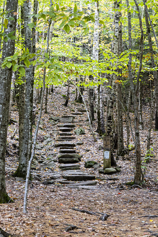 These steps lead to the Emery Path and the peak of Mt Dorr via the Schiff Trail. Total one way distance is 1.6 miles with a steep elevation gain of 1,187 feet. [G30R2272]