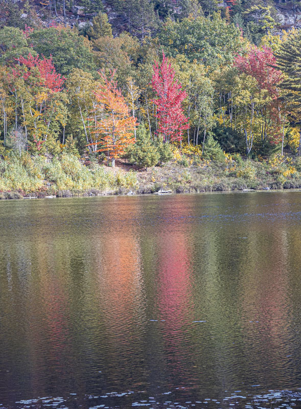 Fall colors were reflected in Beaver Dam Pond along the Park Loop Road. [H40R2287]