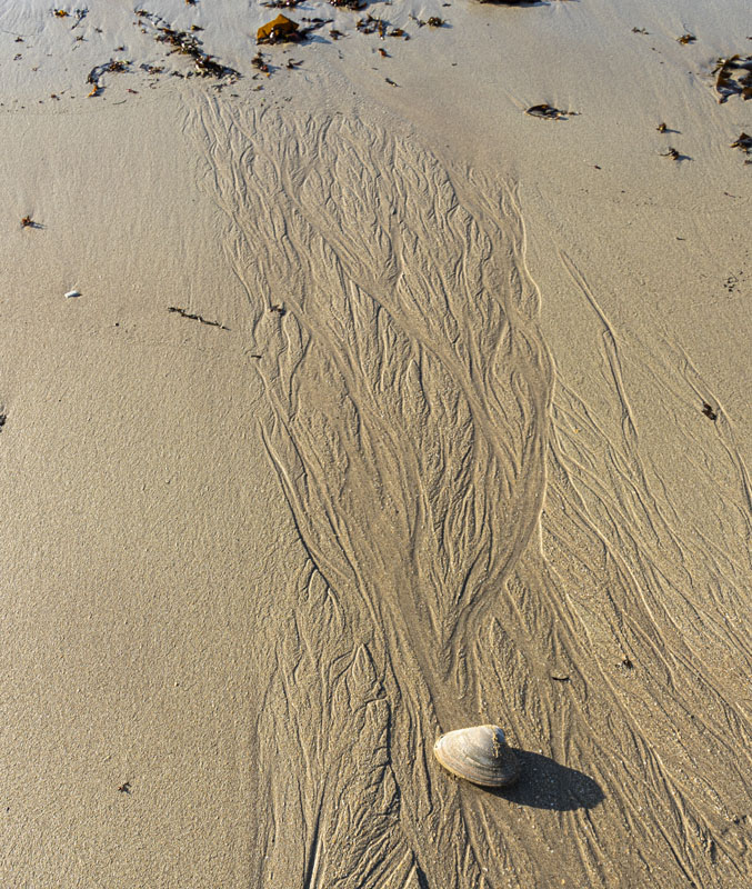 Sand Beach [K16T6428]