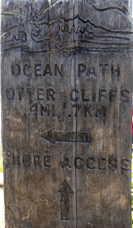 A sign along Ocean Path [K64T6520]