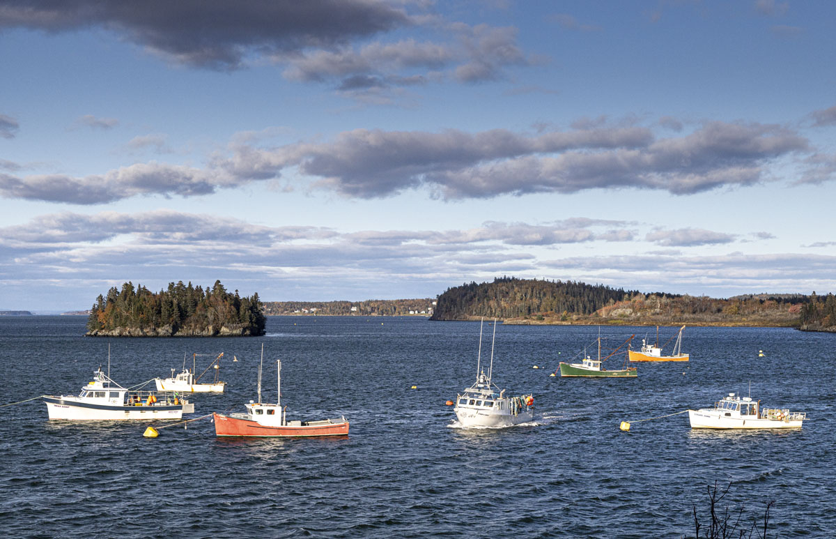Fishing boats at anchor for the night in Johnson Bay, Lubec, Maine. Lubec was first settled in 1785. At one time it was the sardine canning capital of the world. [S65R2900]