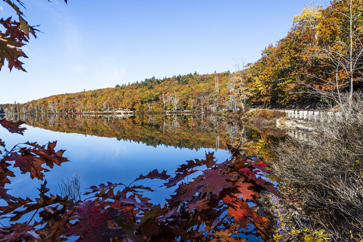 Fall colors are reflected in Fox Pond along Rt 182 south of Cherryfield, Maine. We stopped here about two hours in our 1,000 mile, three day trip home. [X20T6829]