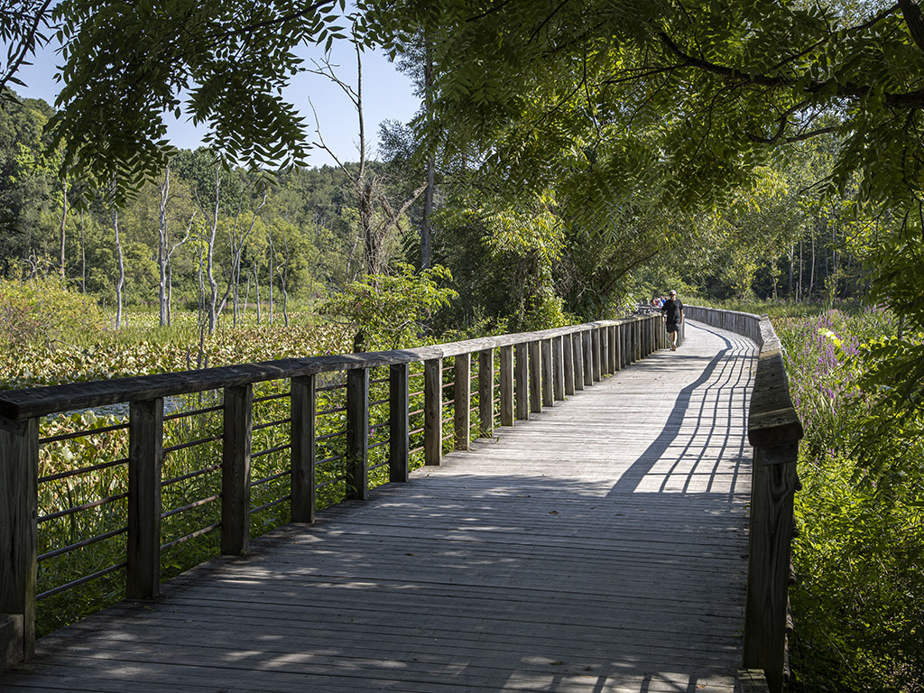 Boardwalk leading to viewing platforms at Beaver Marsh in Cuyahoga Valley National Park (R1971021)