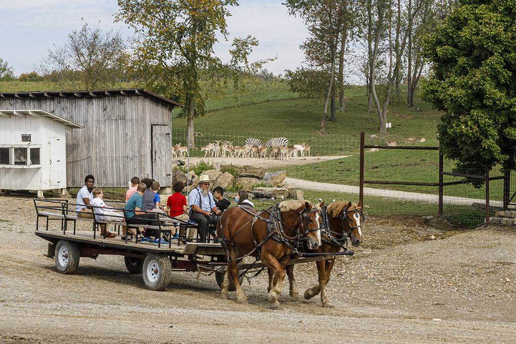 Narrated farm tour on a wagon