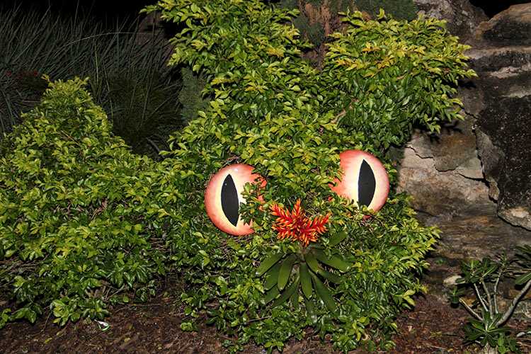 3792 There are eyes in the bushes at the Dali Museum