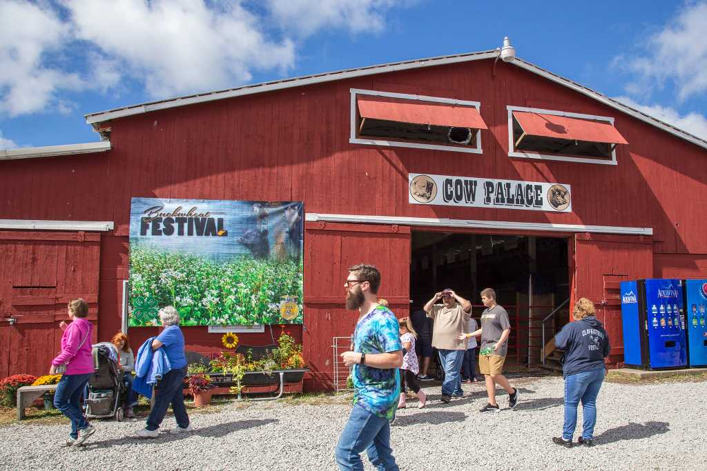 6D-6526 2018 Buckwheat Festival - Animal exhibits and judging happens in the Cow Palace