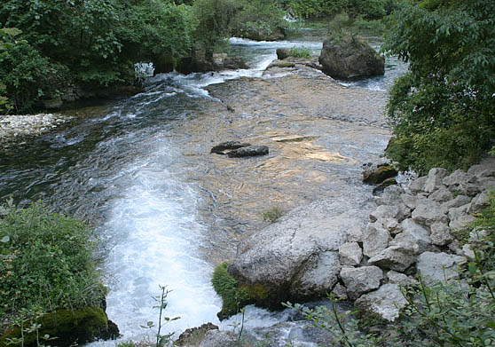 The Sorgue River near its source.