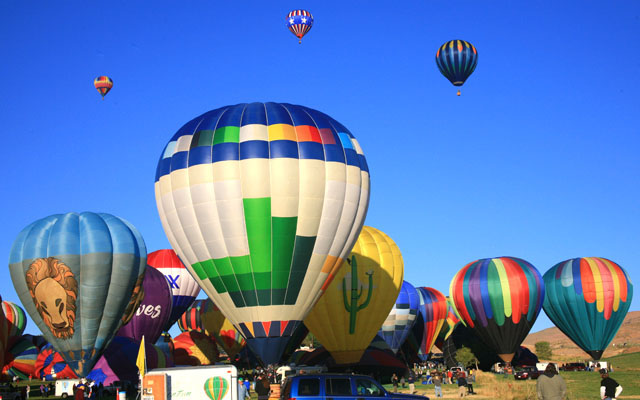 I have attempted to identify some of the balloons using photos in the program guide. It's a tricky job of pattern matching. There are probably some mistakes. The balloon at the top of this photo is "Unincorporated" piloted by Diane Karisson of Chandler, TX.