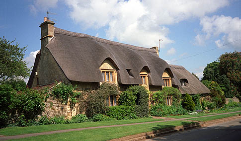 Thatched Roof House