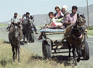 Horse carts are a common site in rural Turkey