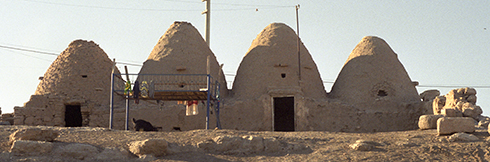 Harran's cone shaped houses
