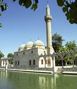 Mosque by "fish lake"