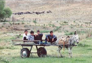 Donkey cart with kids