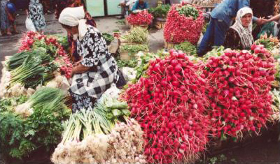 Large radish display