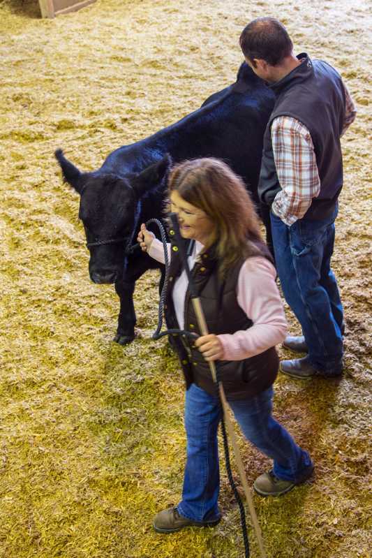 6D-6525 2018 Buckwheat Festival - This lady is smiling because her bull was just awarded a blue ribbon