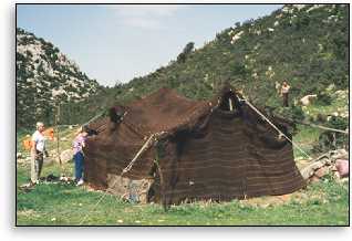 Nomad Tent